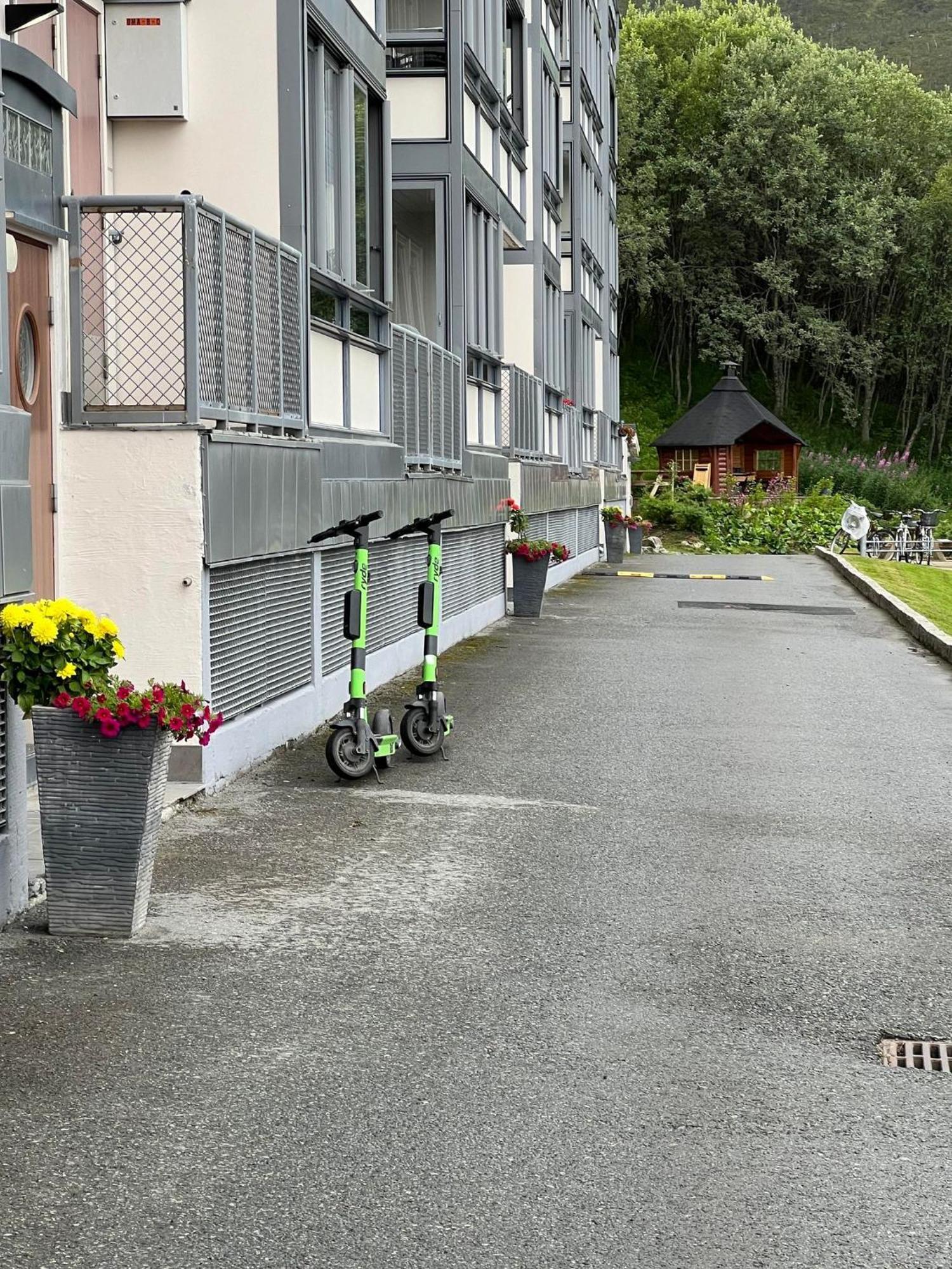 Miracle Tromso, Cozy Double Bed Private Room In A Shared Apartment With Stunning Tromso Views Экстерьер фото